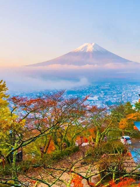 Japan Packages