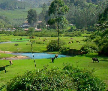kerala-package-img